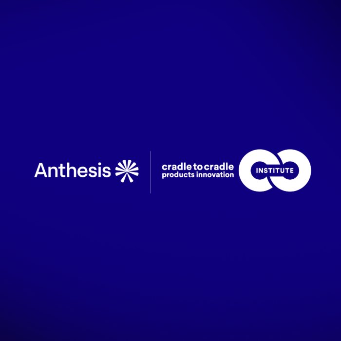 Expanding support for certification: Launching our new Advisory Network with Anthesis