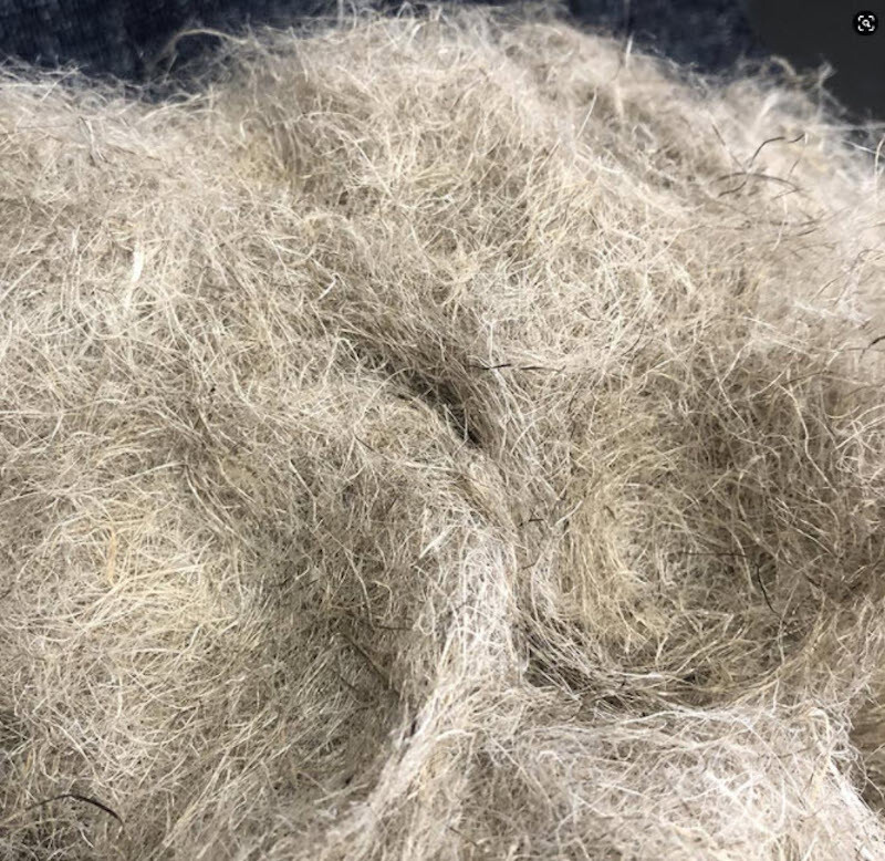 Marmara Hemp® upgraded to C2C Certified Material Health Certificate™ Platinum V4.0