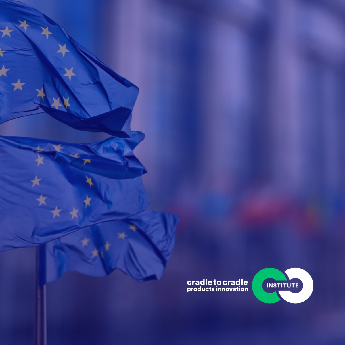 Statement on the EU's Empowering Consumers for the Green Transition Directive (EU) 2024/825